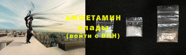 spice Богданович