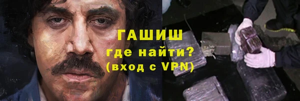 сатива Бородино