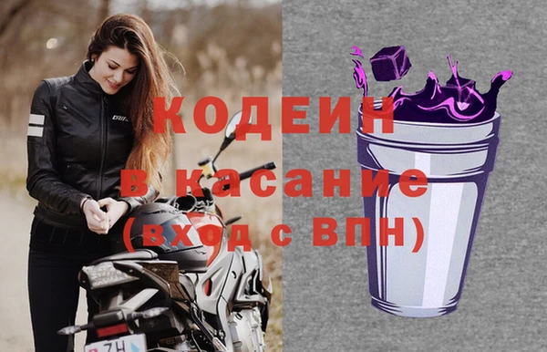 spice Богданович