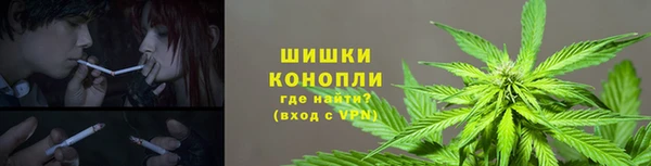 спайс Богородицк