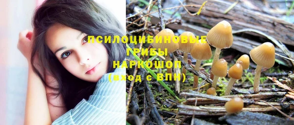 таблы Сосновоборск