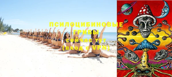spice Богданович
