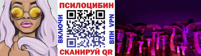 закладки Невьянск Галлюциногенные грибы GOLDEN TEACHER